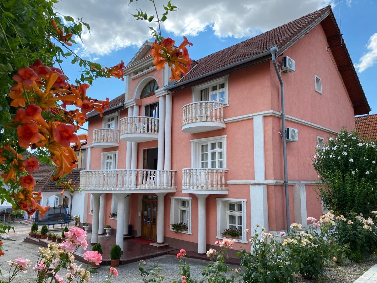 Pensiunea Ana Беїле-Фелікс Екстер'єр фото